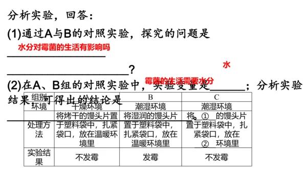 人教版生物八年级上册5.4.1《细菌和真菌的分布》课件(共22张PPT)