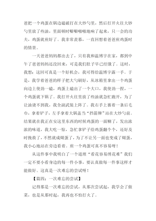一次难忘的尝试作文600字.docx
