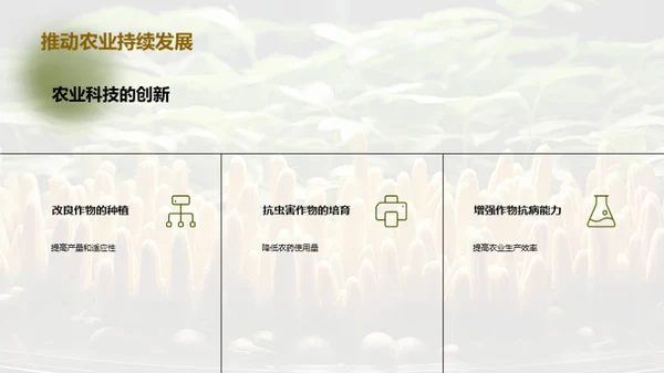 转基因植物