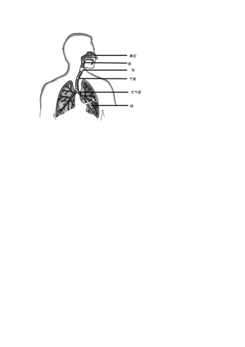 教科版科学四年级上册期末测试卷（网校专用）.docx