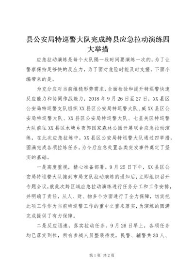 县公安局特巡警大队完成跨县应急拉动演练四大举措.docx