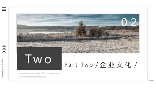文艺热带森系公司企业宣传通用PPT模板