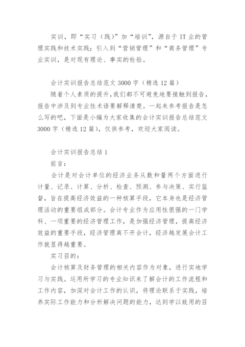 会计实训报告总结范文3000字.docx