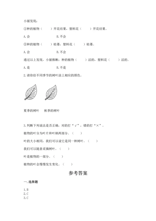 教科版科学一年级上册第一单元《植物》测试卷精品（综合题）.docx