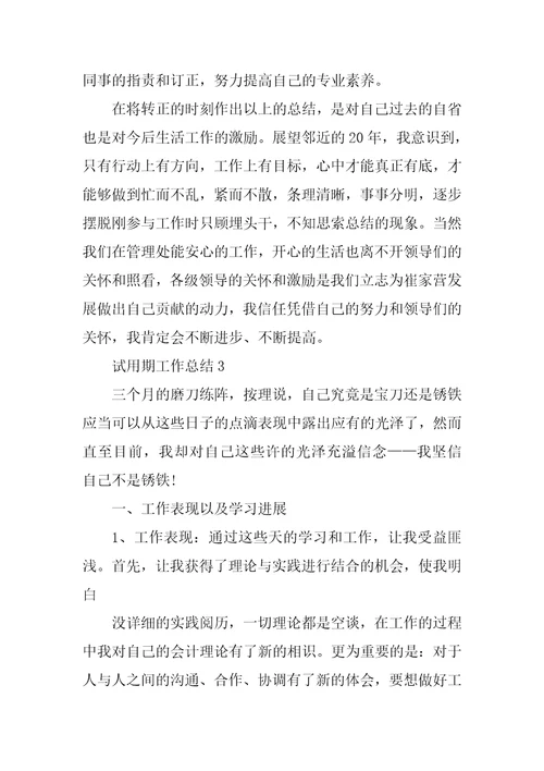 2022年试用期工作总结和转正申请(2)