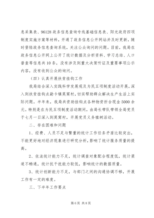 统计局上半年工作总结和下半年工作计划 (2).docx