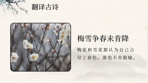 部编版语文四年级上册第九课古诗三首之雪梅PPT模板
