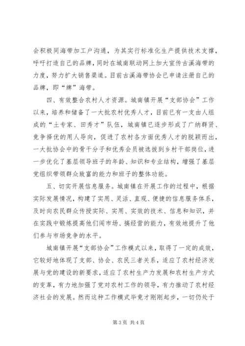 城南镇开展“支部协会”工作情况汇报.docx