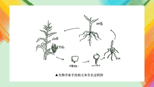 第2课《手绘线条图像——会说话的图画》课件（共26页）