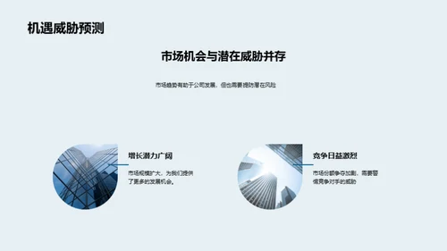 20XX年：回顾与展望