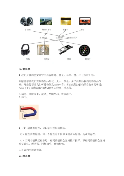 教科版小学科学二年级下册期末测试卷必考题.docx