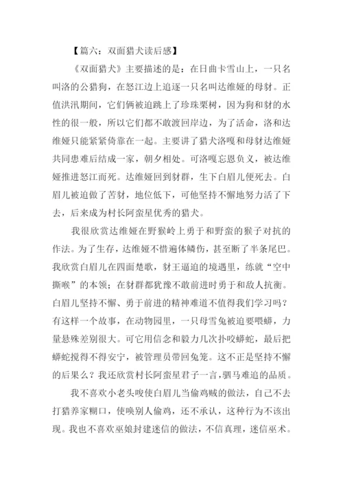 双面猎犬读后感.docx