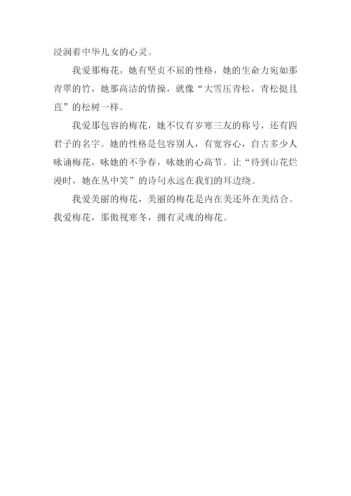 我爱梅花作文.docx