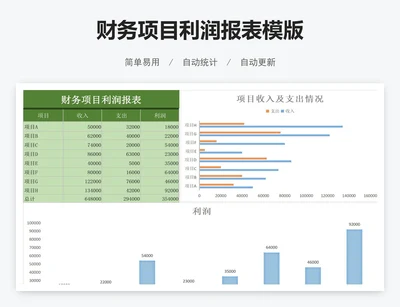 财务项目利润报表模版