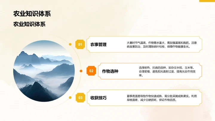 二十四节气大暑PPT模板