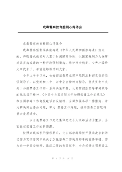 戒毒警察教育整顿心得体会.docx