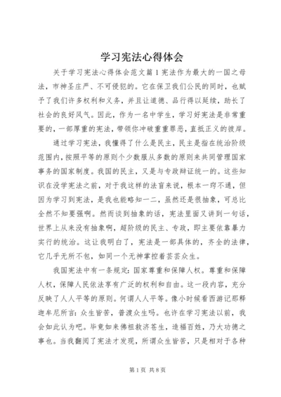 学习宪法心得体会 (4).docx