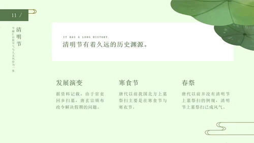 绿色中国风荷花清明节PPT模板