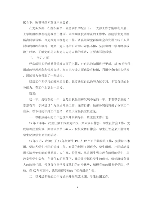 精编之对辅导员总结范文.docx