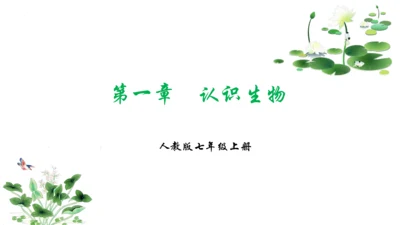 1.1 认识生物 2023-2024学年七年级生物上学期期末考点大串讲（人教版）(共19张PPT)