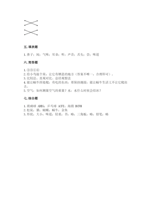 教科版小学科学一年级下册期末测试卷【名师系列】.docx