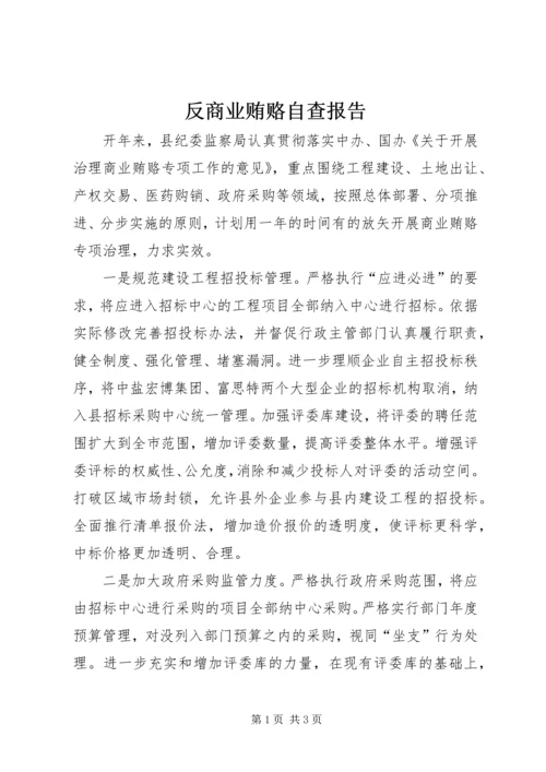 反商业贿赂自查报告 (2).docx