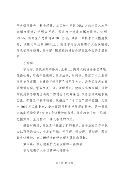 学习大鹏XX县区党工委扩大会议精神的体会(精选多篇).docx