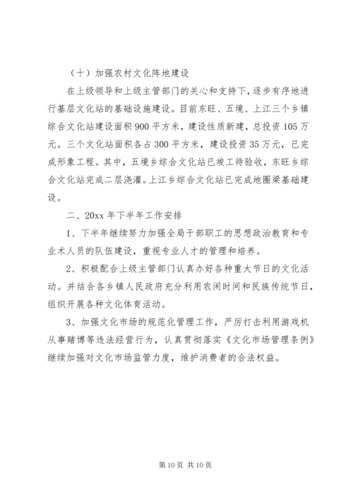 文体局上半年工作总结及下半年工作计划 (2).docx