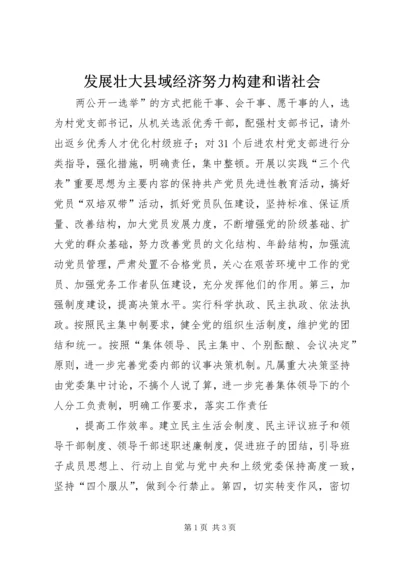 发展壮大县域经济努力构建和谐社会.docx