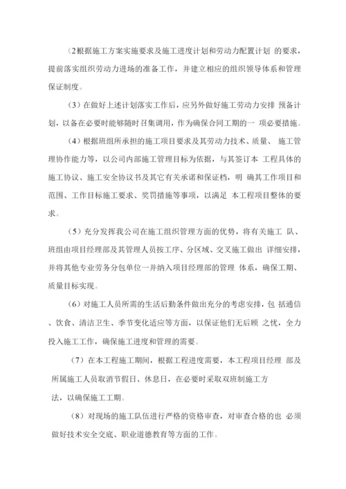 劳动力配置计划.docx