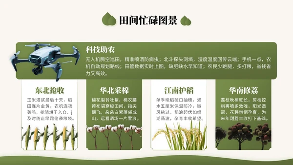 橄榄绿中国风二十四节气之白露节气知识讲座PPT模版