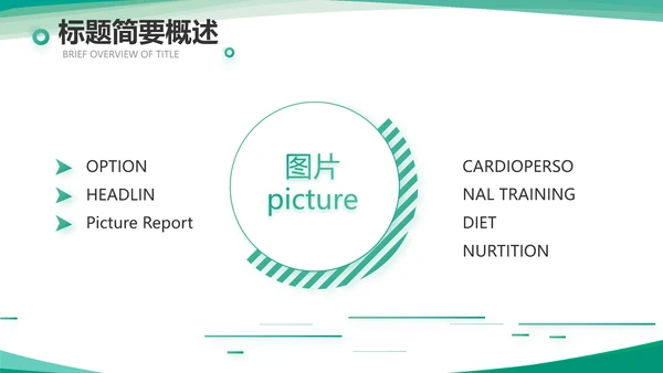 小清新城镇居民医疗保险总结PPT