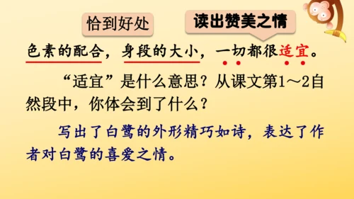 1 白鹭   课件