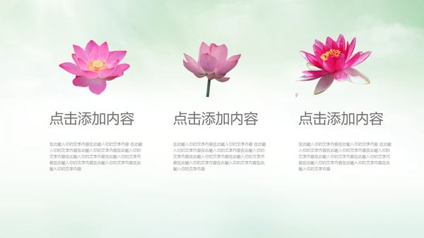 中国风荷塘风景荷叶荷花青莲通用PPT模板
