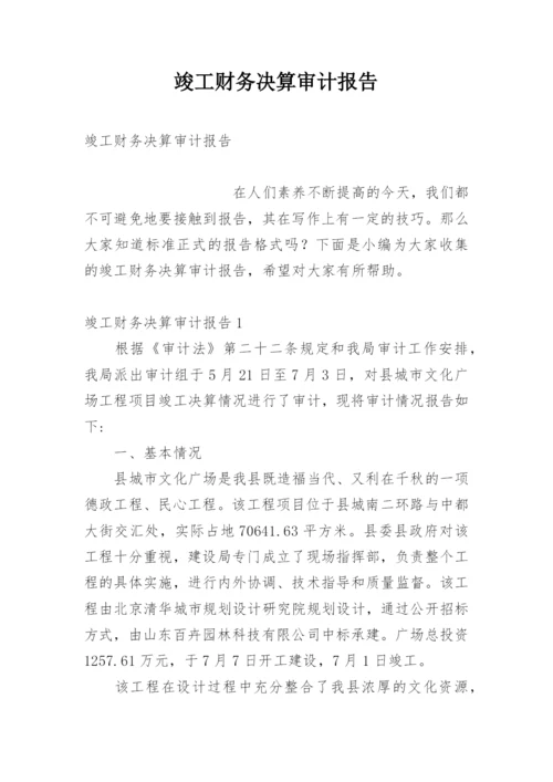 竣工财务决算审计报告.docx