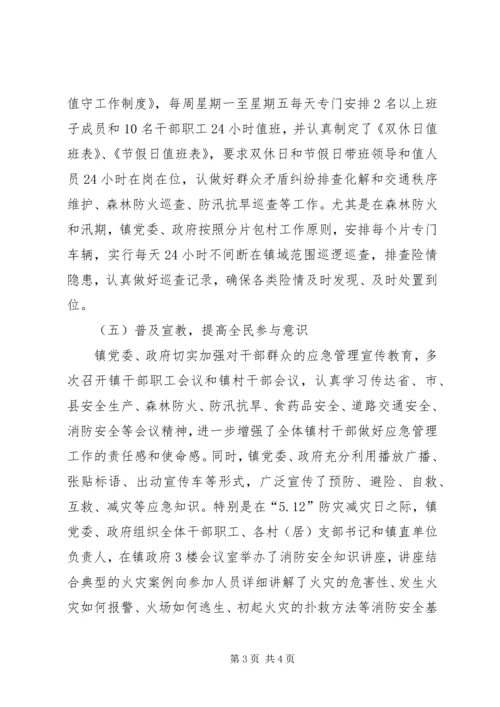 乡镇应急管理工作自查报告.docx