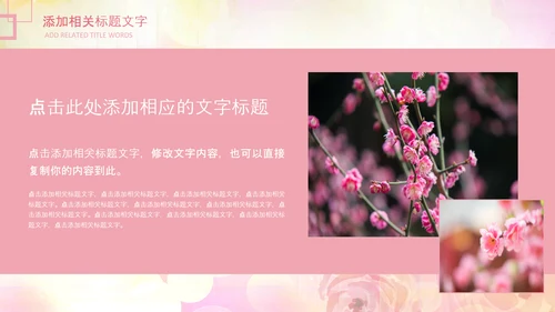 妇联三八妇女节年终工作总结汇报PPT模板