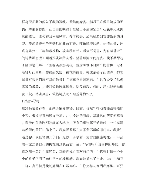 踏雪寻情作文(精华8篇)