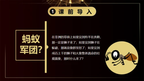 团队凝聚力通用PPT模板