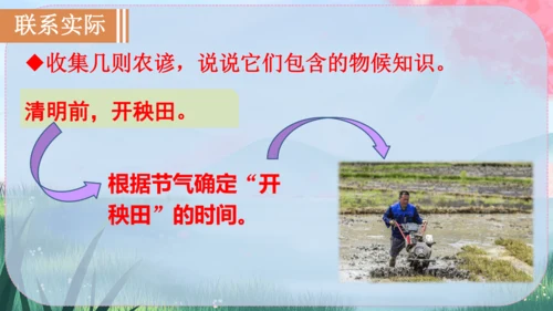 5《大自然的语言》课件