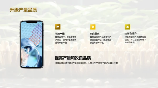 转基因植物