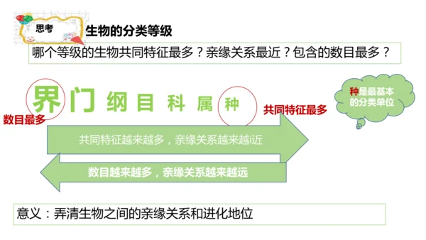 人教版生物七年级上册2.4.2《生物分类的方法——从种到界》课件(共26张PPT)