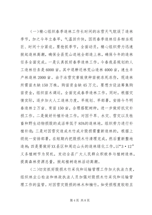 县林业抗灾救灾工作情况汇报(1).docx