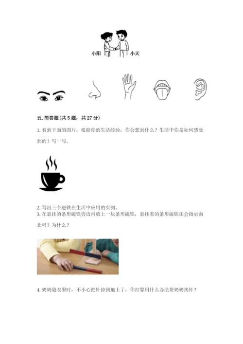 教科版小学科学二年级下册期末测试卷（黄金题型）.docx
