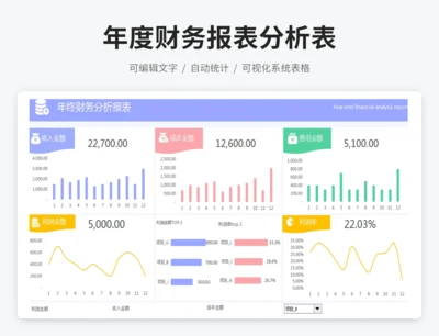 年度财务报表分析表