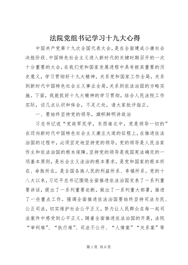 法院党组书记学习十九大心得.docx