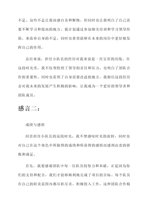 不做小队长后的感言