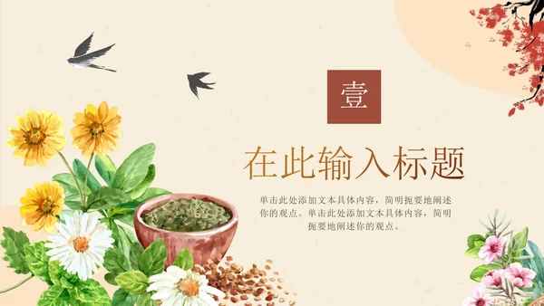 传统中国风中医中药养生主题PPT模板