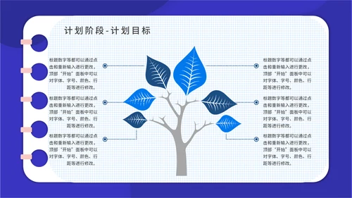 PACA项目实施报告通用PPT模板