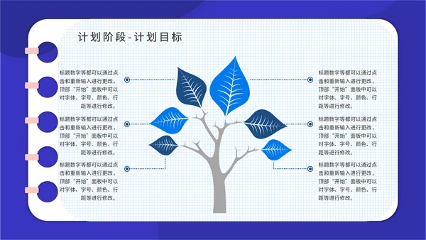 PACA项目实施报告通用PPT模板